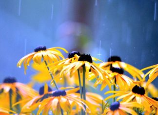 In praise of Waterproofs and Wet Days