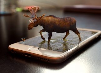 The Power of Distraction